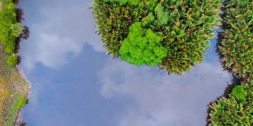 Implications of Supreme Court's EPA Wetland Ruling - Cover Image