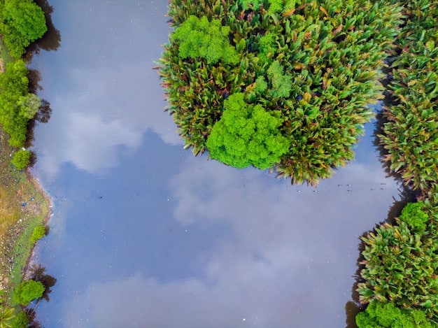 Implications of Supreme Court’s EPA Wetland Ruling