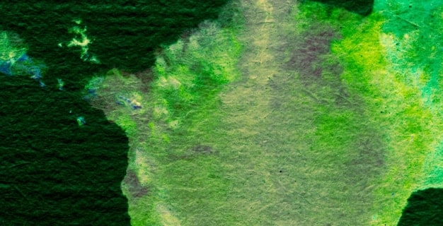 A detailed map of the United States with states colored in different shades, indicating varying levels of environmental protection and policy responses, highlighting a fragmented regulatory landscape.