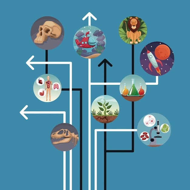 A flowchart or infographic depicting the journey from scientific consensus (IPCC Report) to policy implementation in the US, showing the various stakeholders and decision points.