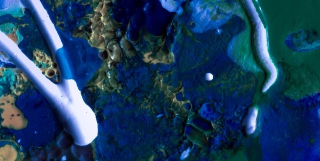 Ocean Acidification’s Impact on US Fisheries: Latest Studies & Management Implications