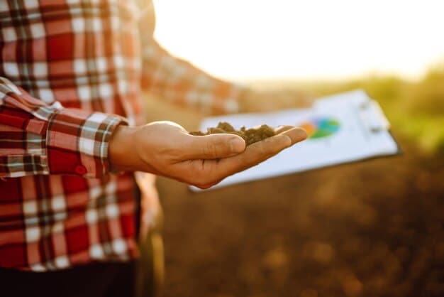 A farmer inspecting healthy, dark soil with a small cover crop growing, symbolizing soil health and conservation on a productive farm.