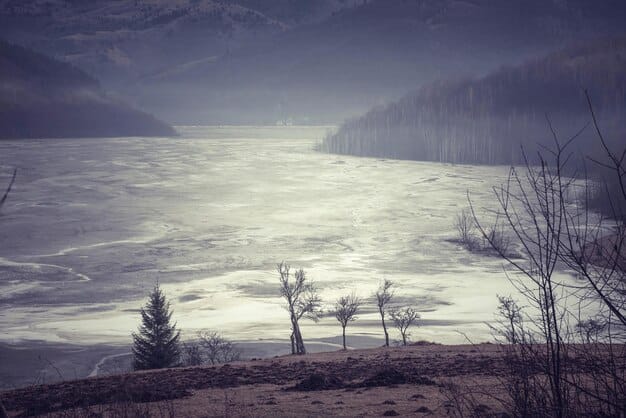 Thermokarst lake forming in the Arctic tundra, surrounded by collapsing ground and partially submerged trees, under a cloudy sky.