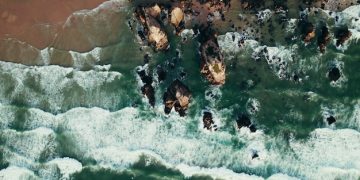 US Coastline Sea Level Rise by 2050: Impacts on Ecosystems - Cover Image
