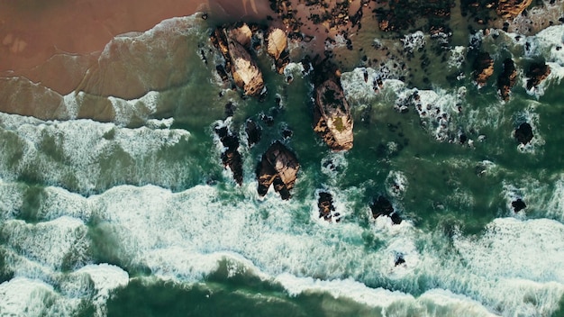 US Coastline Sea Level Rise by 2050: Impacts on Ecosystems