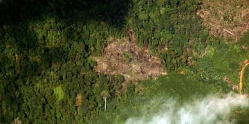 Amazon deforestation's impact on climate change, US agriculture - Cover Image