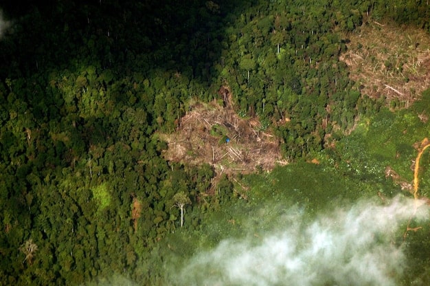 Amazon deforestation’s impact on climate change, US agriculture