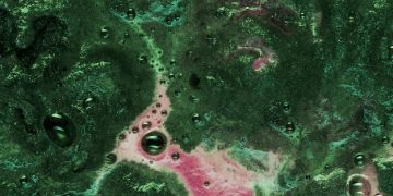 Climate Change & Invasive Species: US Ecosystem Impact Unveiled - Cover Image