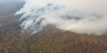 Climate Change & Wildfires: US Frequency & Intensity - Cover Image