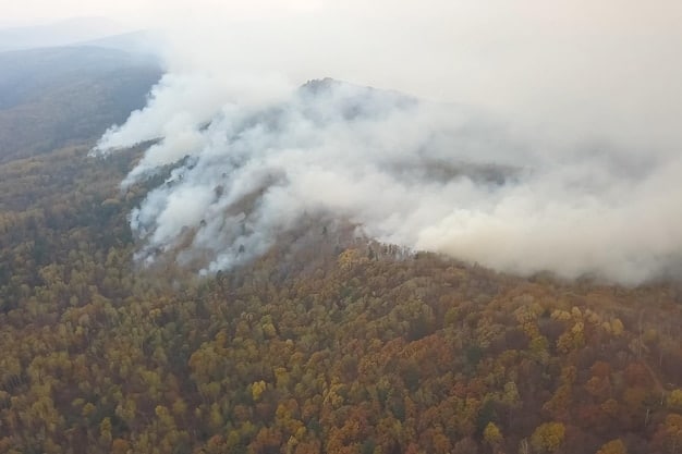 Climate Change & Wildfires: US Frequency & Intensity
