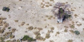 How Does Climate Change Affect Droughts in the US? - Cover Image