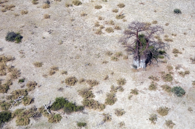 How Does Climate Change Affect Droughts in the US?