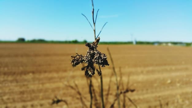 Cracked, dry earth with a few struggling crops in a field, indicating severe agricultural drought conditions. In the background, a farmer looks despondently at the damaged field.