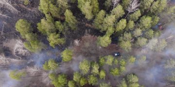 Wildfire Risks 2025: Predictive Models & Evacuation - Cover Image