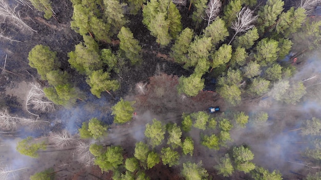 Wildfire Risks 2025: Predictive Models & Evacuation