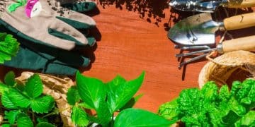 Safeguarding Gardens: Extreme Weather & Food Security - Cover Image