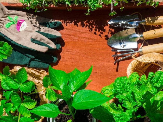 Safeguarding Gardens: Extreme Weather & Food Security