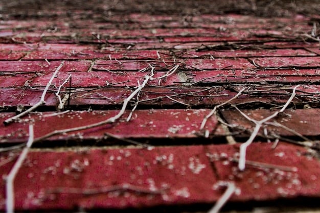 A close-up of a damaged asphalt shingle roof after a hail storm, showing multiple dents and punctures, with scattered hail debris.