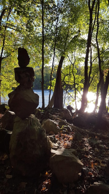 A serene outdoor scene with people practicing mindfulness or meditating, representing mental well-being and coping strategies for environmental stress.