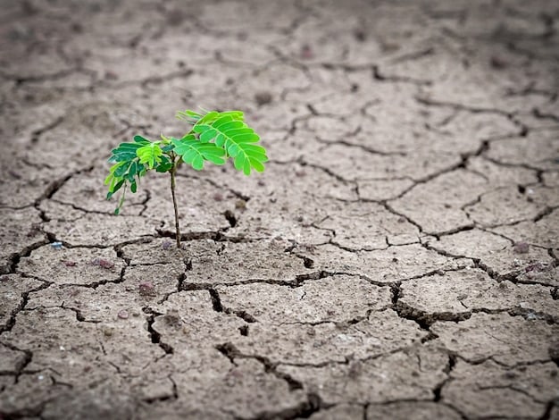 A parched, cracked earth stretching to the horizon under a heat-hazed sky, symbolizing severe drought conditions intensified by climate change, contrasted with a small, struggling plant.