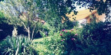 Grow 50% Produce, Reduce Carbon: Sustainable Gardening this Summer - Cover Image