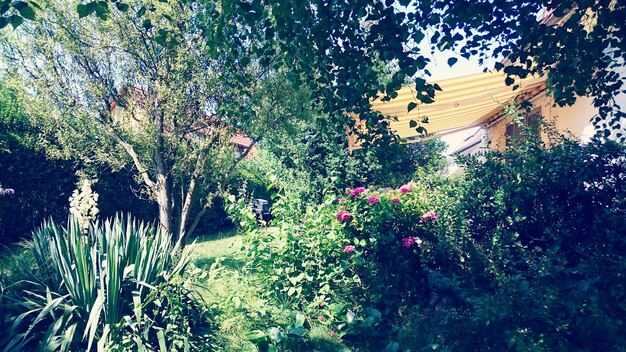 Grow 50% Produce, Reduce Carbon: Sustainable Gardening this Summer