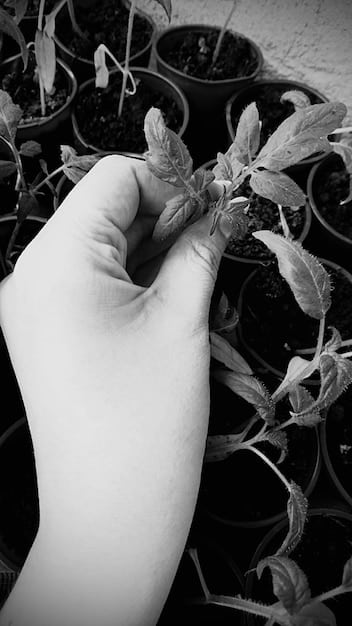A detailed close-up of healthy soil teeming with earthworms and plant roots, illustrating rich organic matter and good drainage. A small hand holds a handful of this dark, fertile soil.