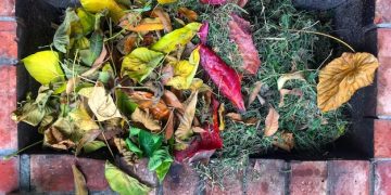 Composting 101: Turn Food Waste into Nutrient-Rich Soil in Just 3 Months - Cover Image