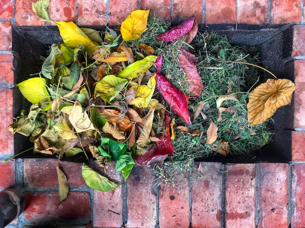 Composting 101: Turn Food Waste into Nutrient-Rich Soil in Just 3 Months
