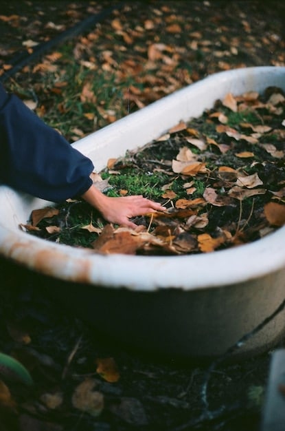 A person cleaning out leaves and debris from a gutter connected to a rain barrel, emphasizing routine maintenance as an essential part of rainwater harvesting.