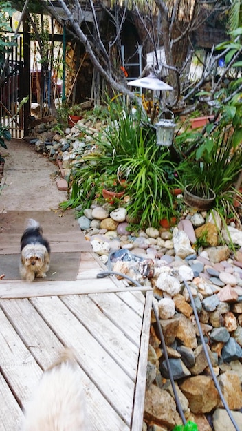 Sustainable Landscaping: Water-Saving, Wildlife-Friendly Yards