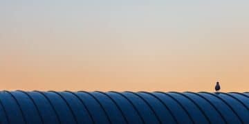 Solar Water Heating: Heat Your Water with Sun & Save Costs - Cover Image