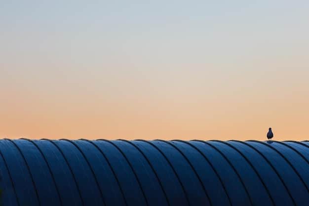Solar Water Heating: Heat Your Water with Sun & Save Costs