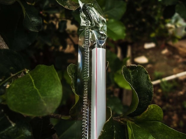 A detailed diagram showing the proper installation of a residential drip irrigation system, labeling typical components like a pressure regulator, filter, mainline tubing, and individual emitters near plant roots in a garden bed.