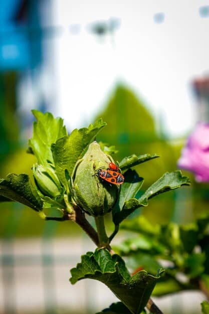Sustainable Pest Control: Your Organic Guide to a Chemical-Free Home & Garden