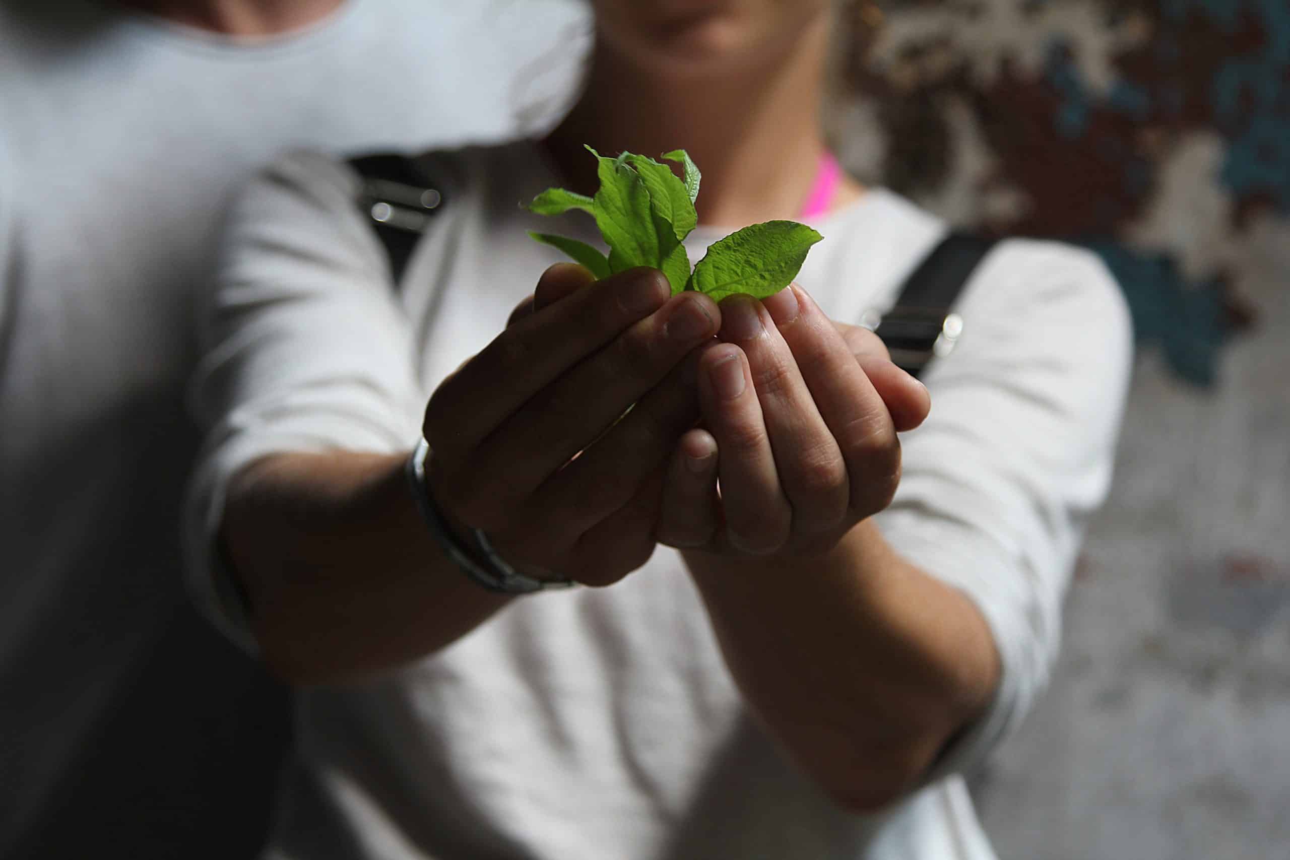 Imagem institucional