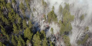Wildfire Frequency in US: Unraveling the Science - Cover Image