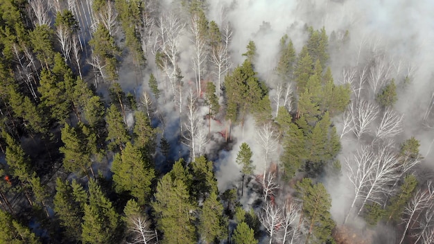 Wildfire Frequency in US: Unraveling the Science
