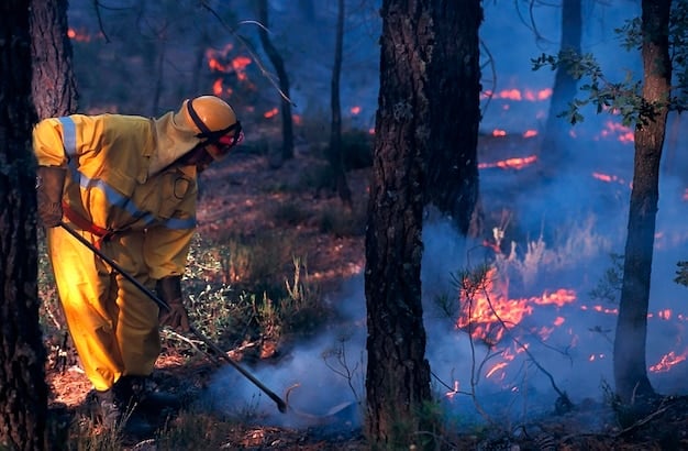 A controlled burn being conducted by firefighters in a forest, demonstrating proactive fuel management to reduce wildfire risk.